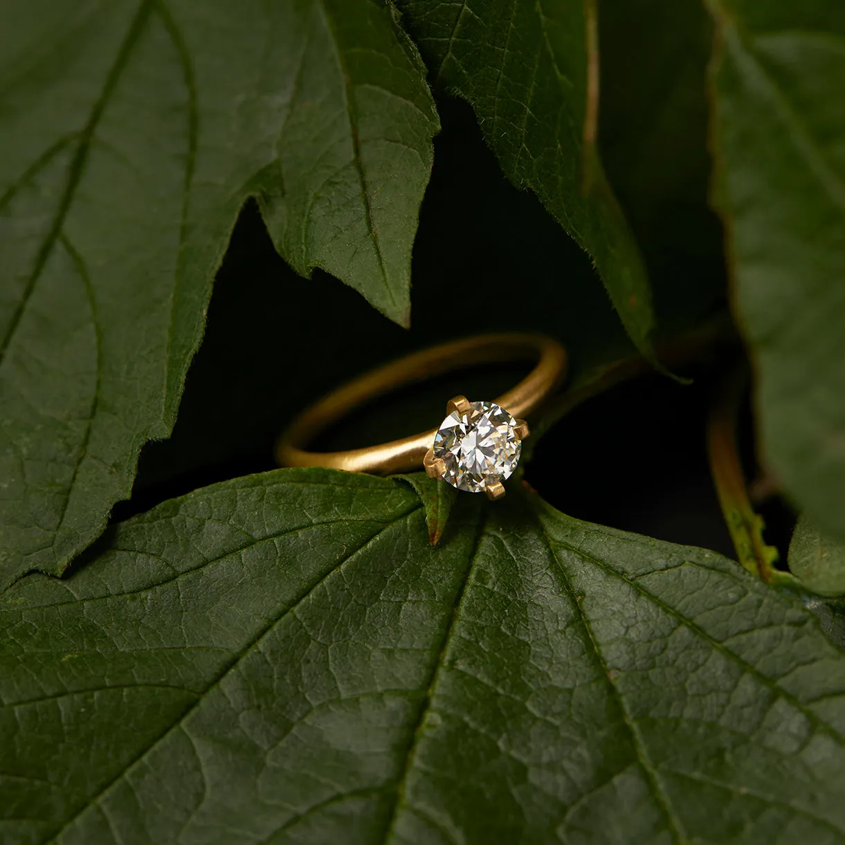 5.6mm White Diamond Noble Ring | R11707W