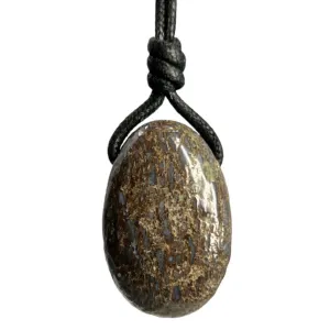 Ancient Earth Dinosaur Bone Necklace