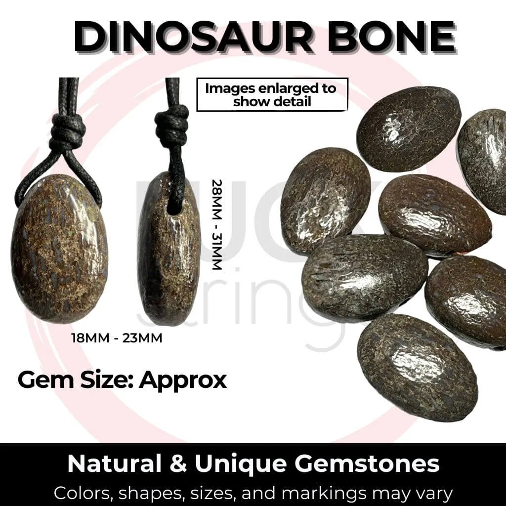 Ancient Earth Dinosaur Bone Necklace