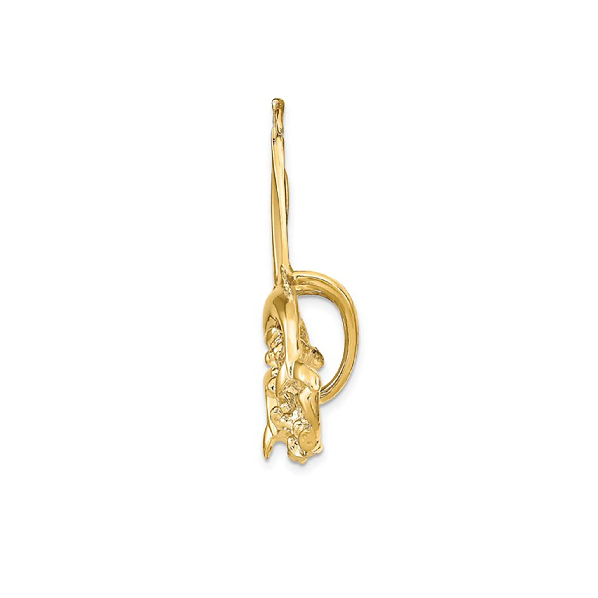 Glossy Sailboat & Dolphins Pendant (14K)