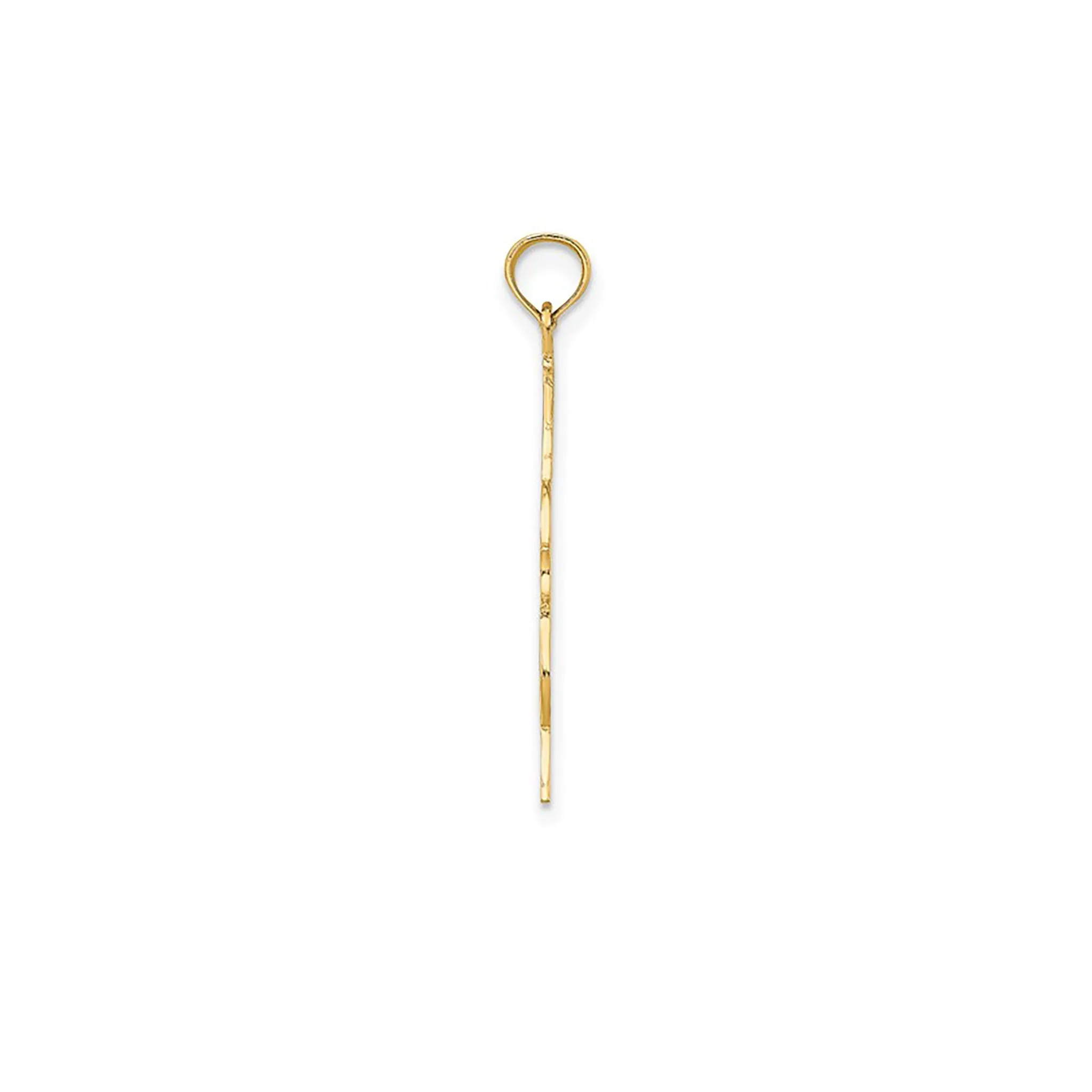 Glossy Texture Upright Bass Pendant (14K)