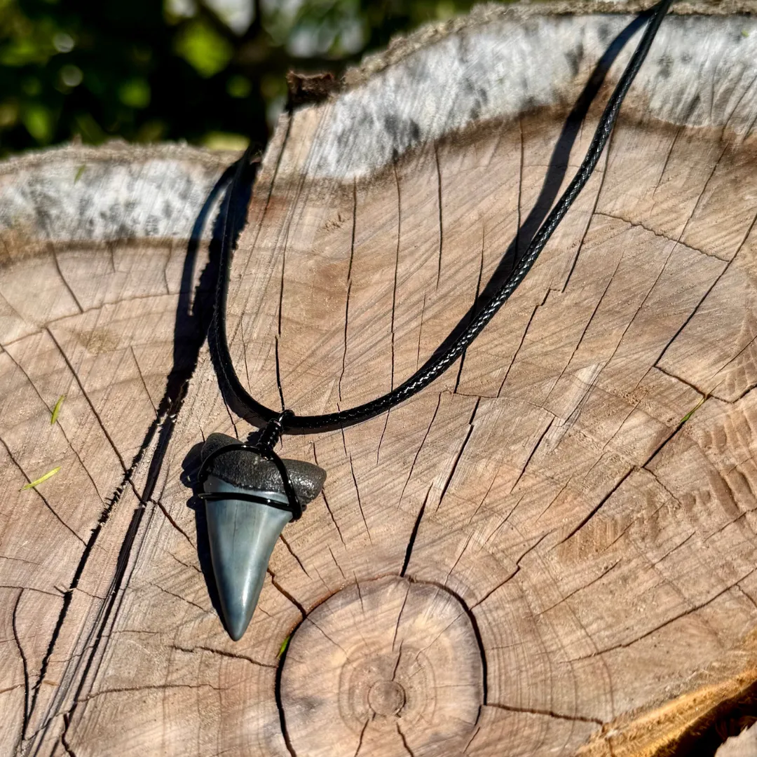 Mako Shark Fossil Necklace