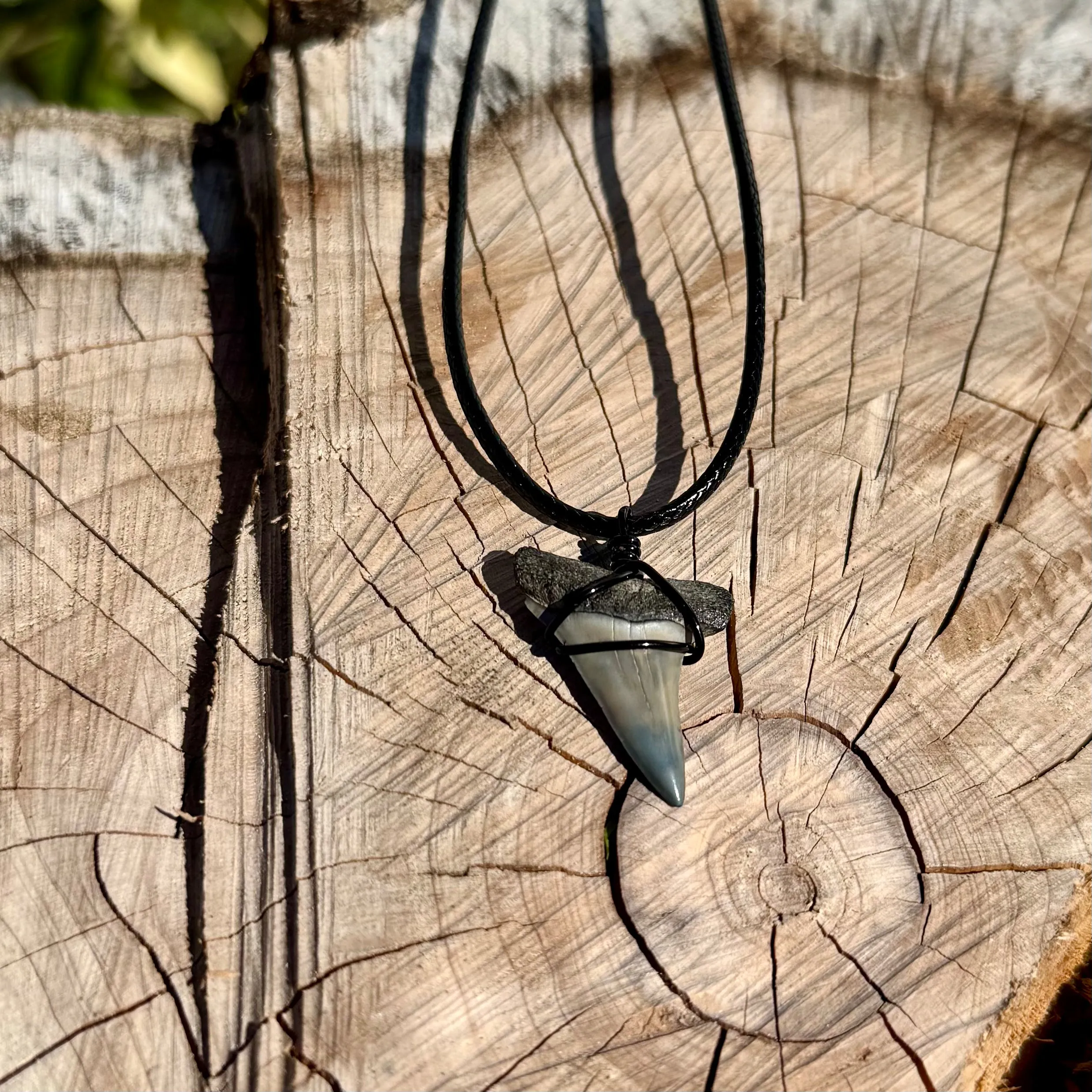 Mako Shark Fossil Necklace