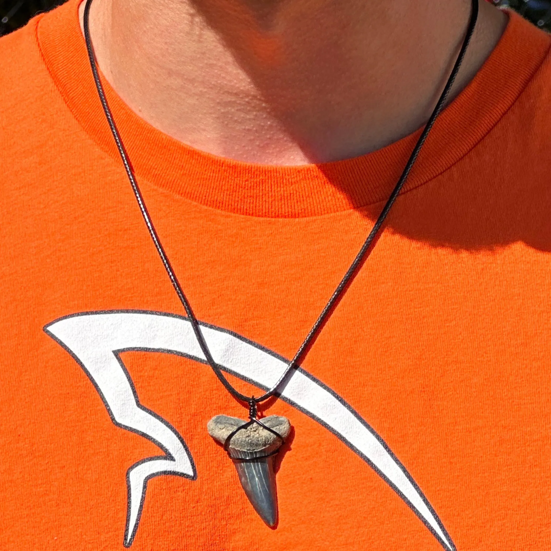 Mako Shark Fossil Necklace