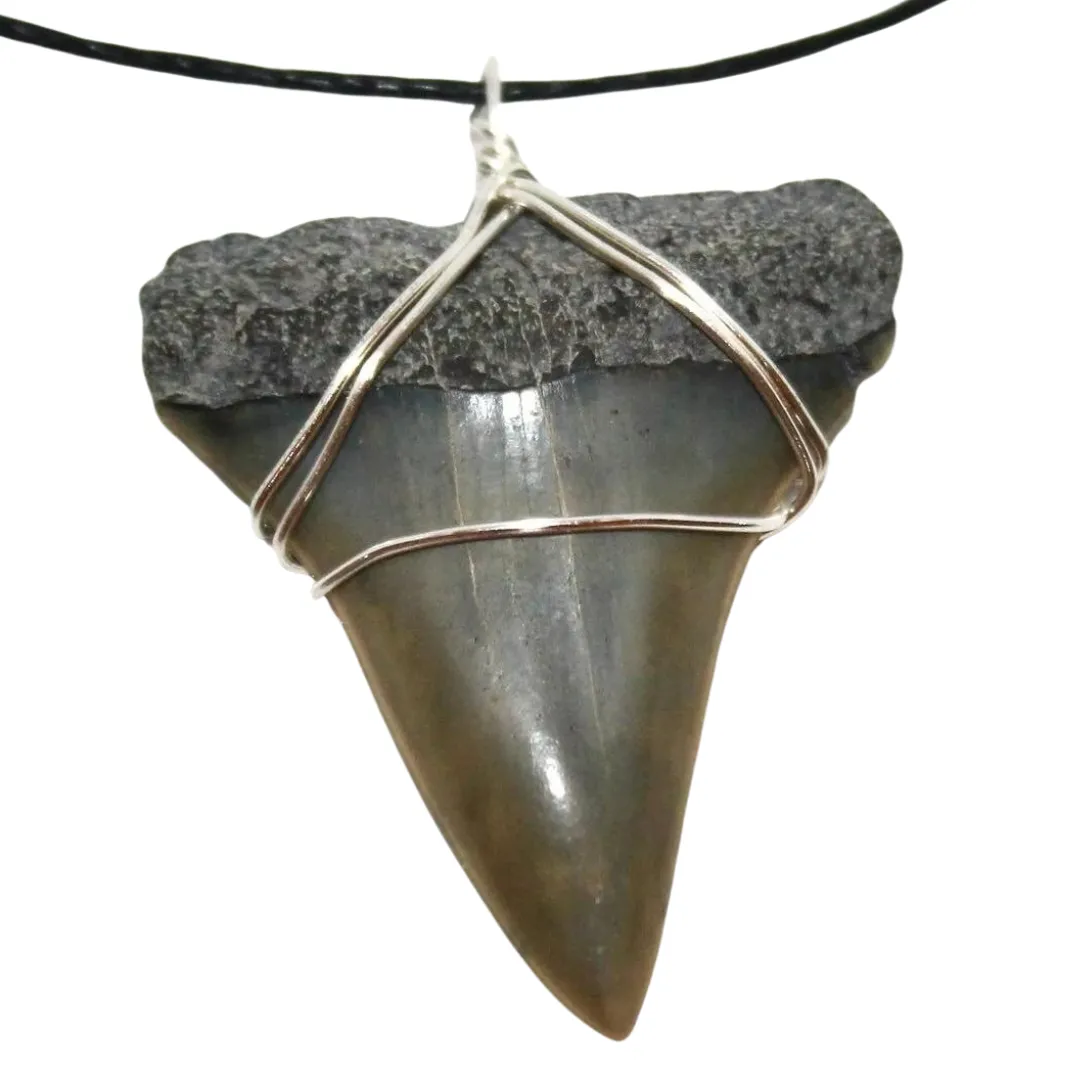 Mako Shark Fossil Necklace
