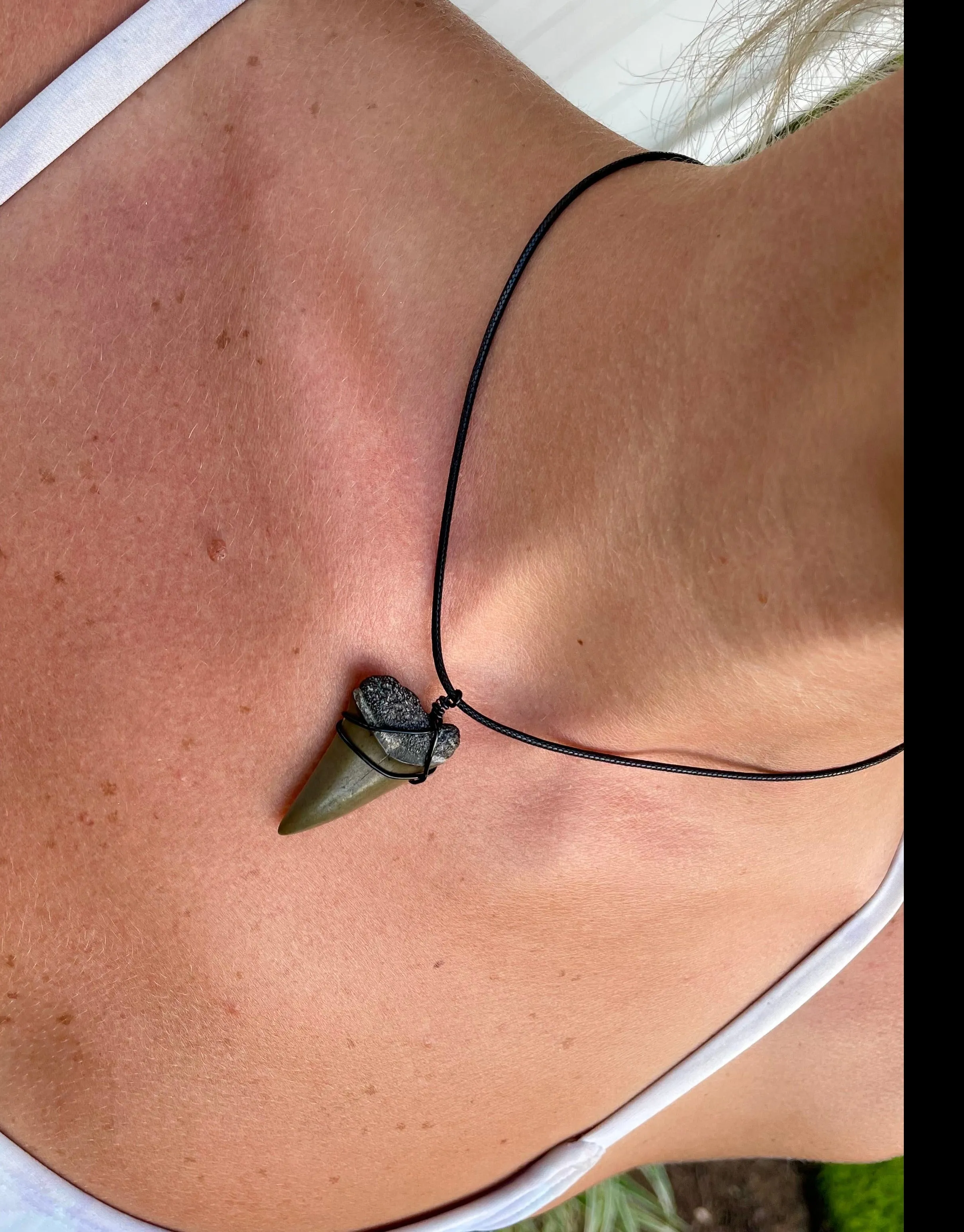 Mako Shark Fossil Necklace