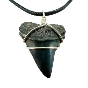 Mako Shark Fossil Necklace