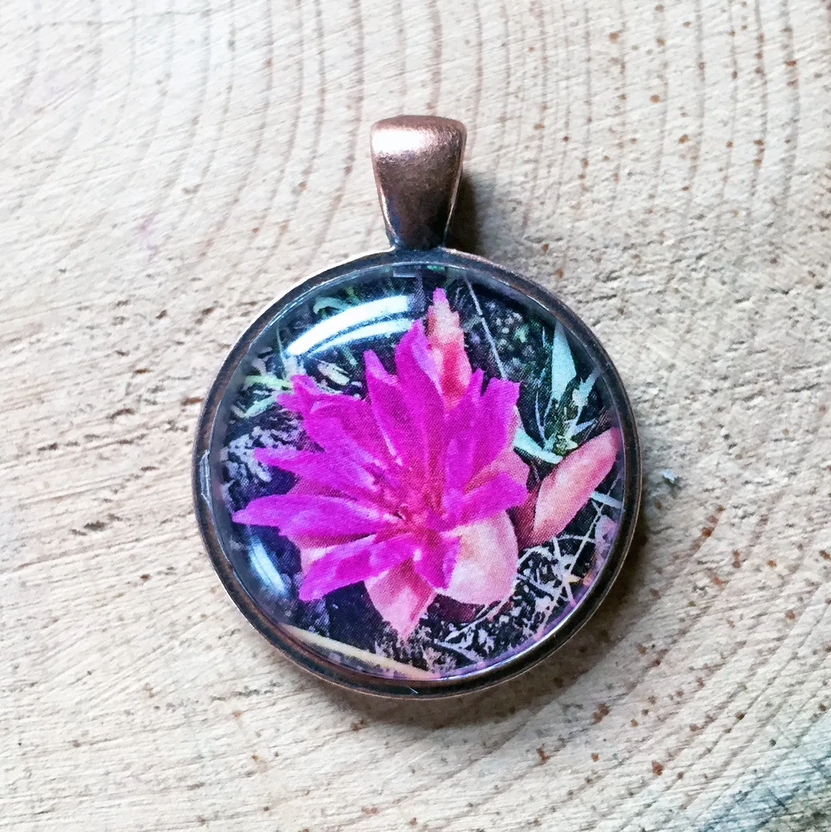 Montana Wildflower Photo Jewelry - Bitterroot