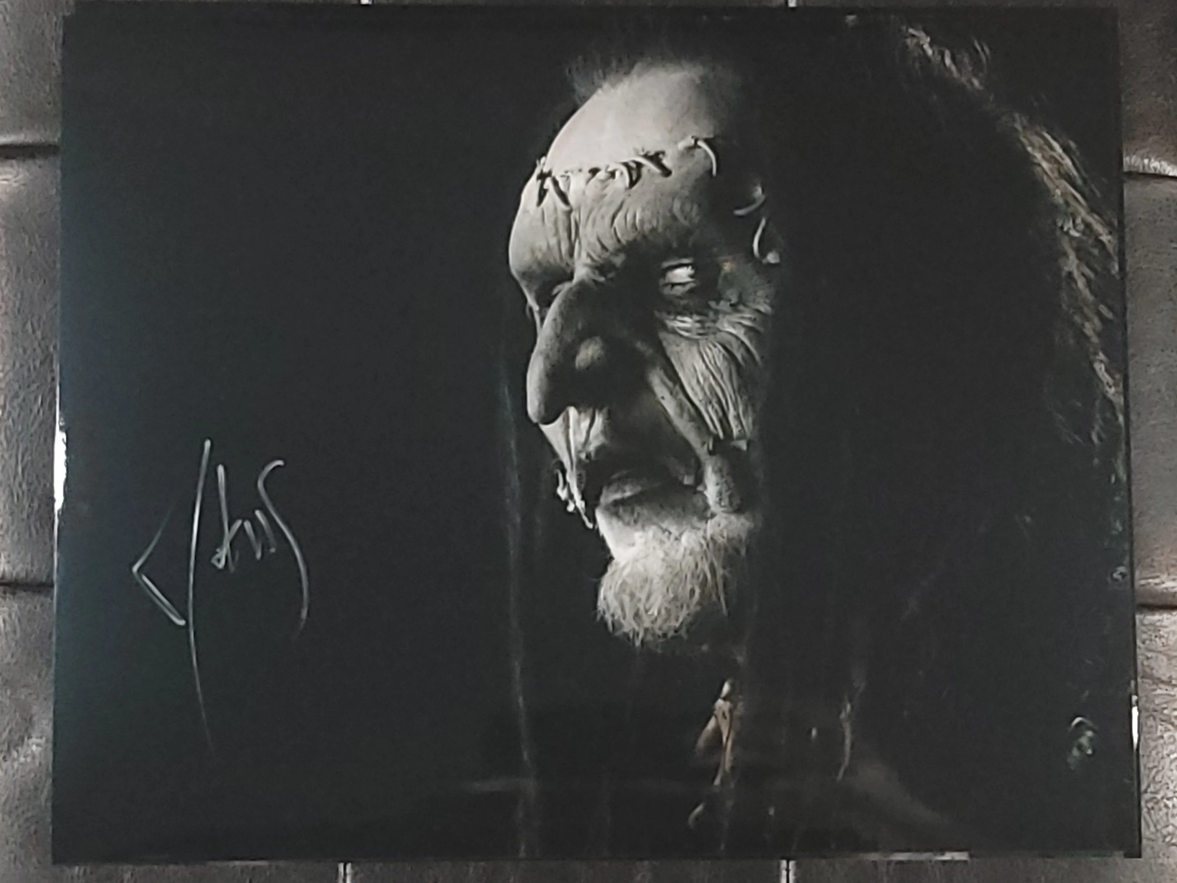 Mortiis - In The Shadows - 8x10 Signed Pearl Print