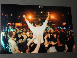 NEMHF Gallery: Bury Your Dead Crowd - crystal pearl print (1 of 1)