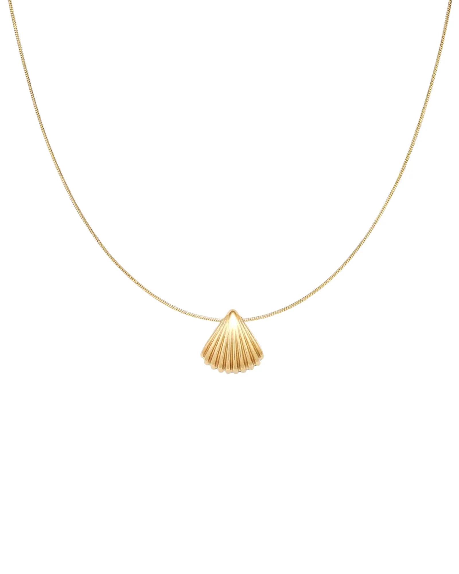 Seashell Necklace