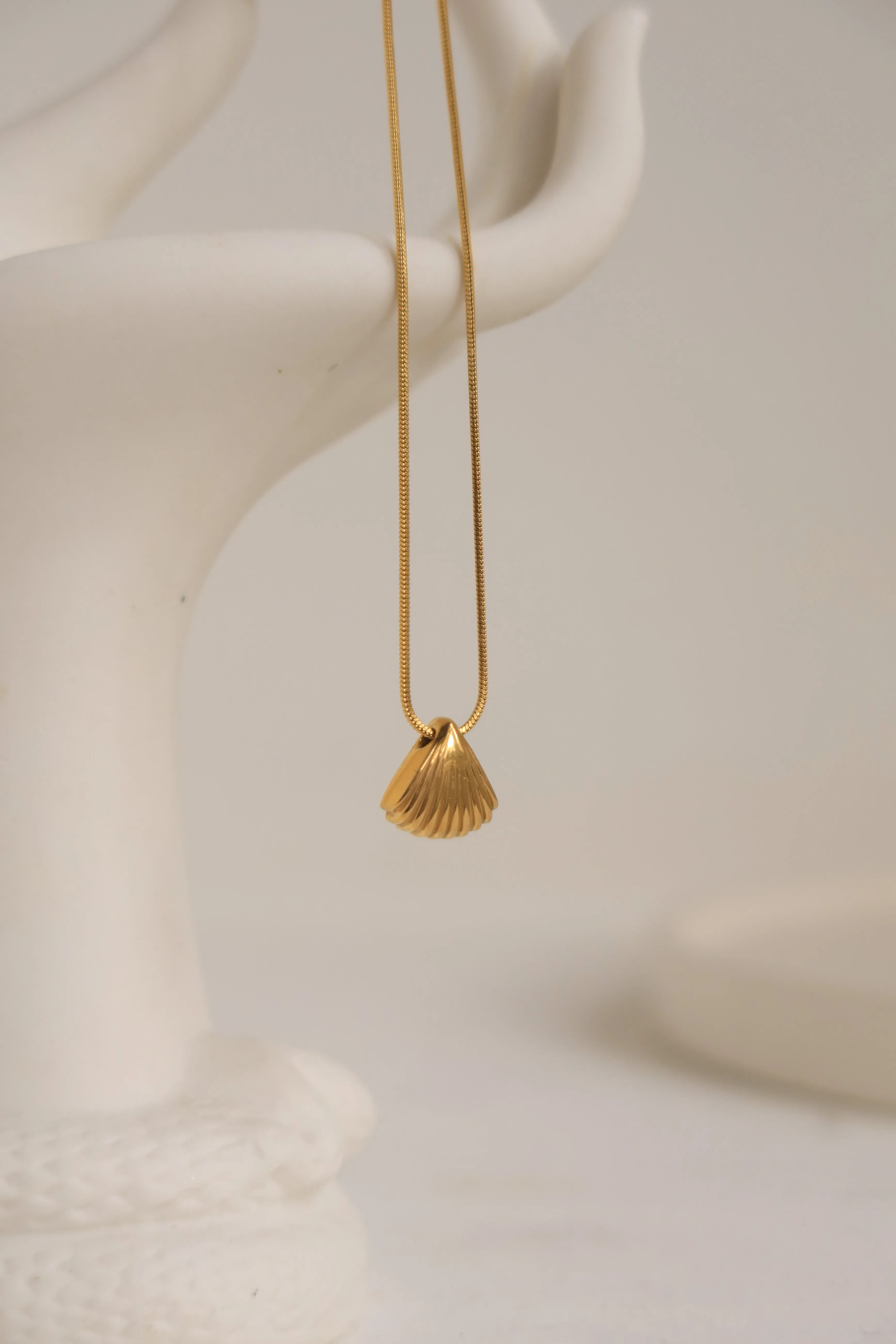 Seashell Necklace