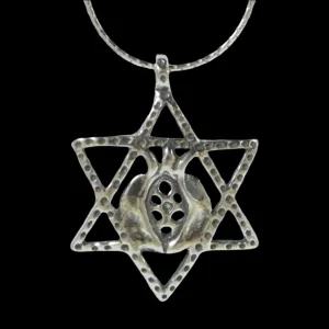 Star of David Necklace with a pomegranate, Sterling silver necklace