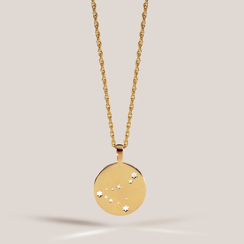 Zodiac Necklace / capricorn