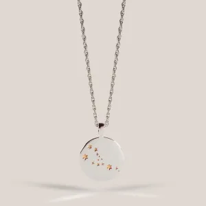 Zodiac Necklace / taurus