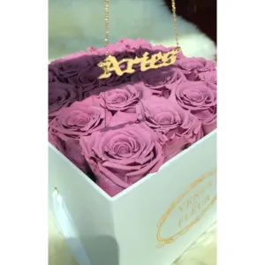 Zodiac Necklace